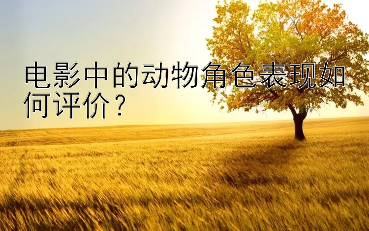 电影中的动物角色表现如何评价？