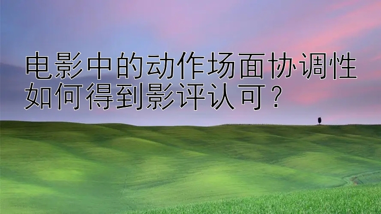 电影中的动作场面协调性如何得到影评认可？