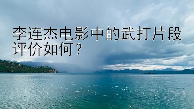 李连杰电影中的武打片段评价如何？