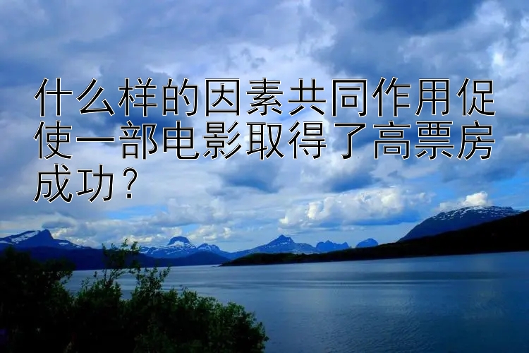 什么样的因素共同作用促使一部电影取得了高票房成功？