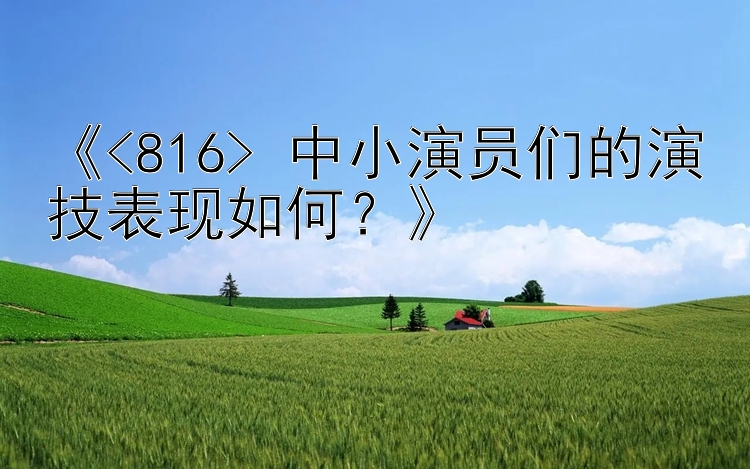 《<816> 中小演员们的演技表现如何？》