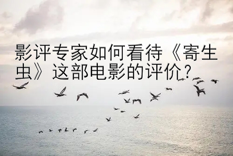 影评专家如何看待《寄生虫》这部电影的评价？