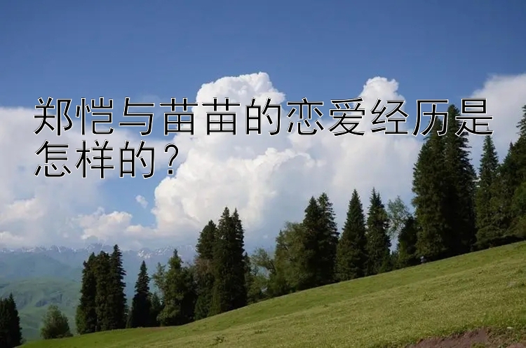 郑恺与苗苗的恋爱经历是怎样的？