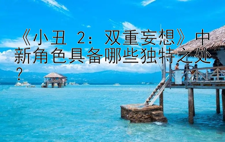 《小丑 2：双重妄想》中新角色具备哪些独特之处？