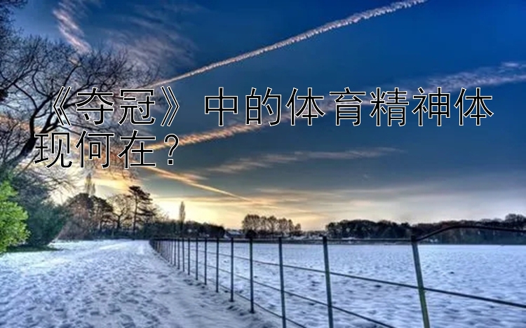 《夺冠》中的体育精神体现何在？