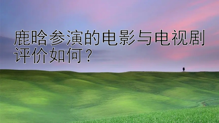 鹿晗参演的电影与电视剧评价如何？