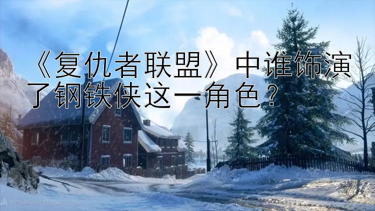 《复仇者联盟》中谁饰演了钢铁侠这一角色？