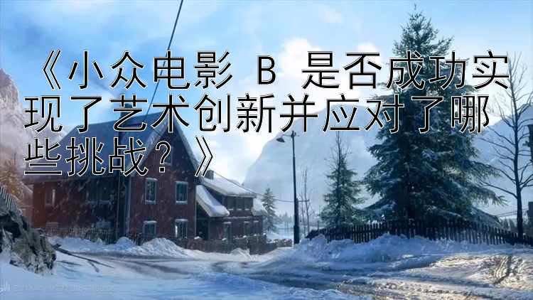 《小众电影 B 是否成功实现了艺术创新并应对了哪些挑战？》