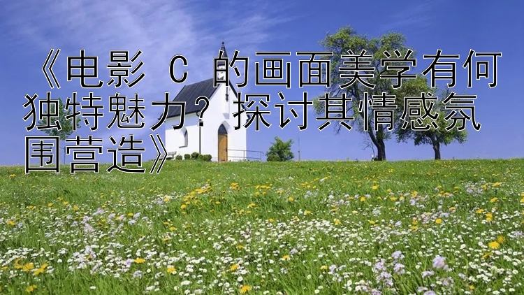 《电影 C 的画面美学有何独特魅力？探讨其情感氛围营造》