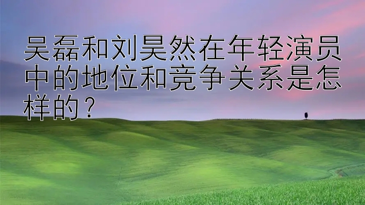 吴磊和刘昊然在年轻演员中的地位和竞争关系是怎样的？