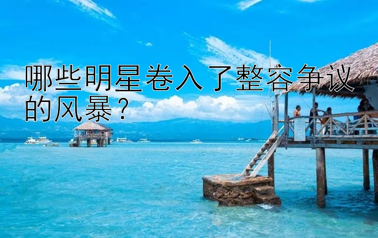 哪些明星卷入了整容争议的风暴？