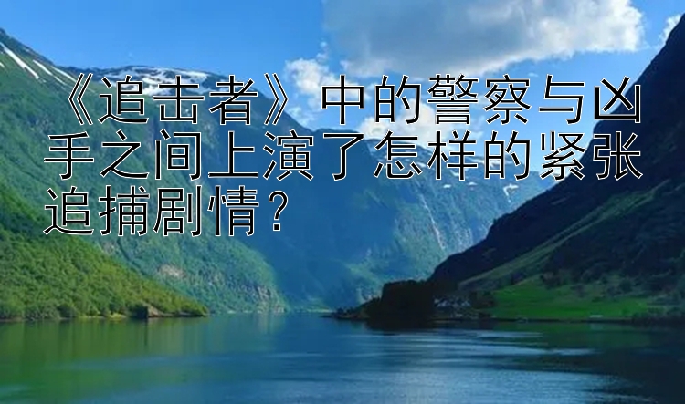 《追击者》中的警察与凶手之间上演了怎样的紧张追捕剧情？