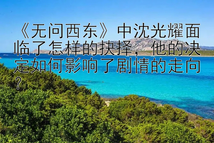 《无问西东》中沈光耀面临了怎样的抉择，他的决定如何影响了剧情的走向？