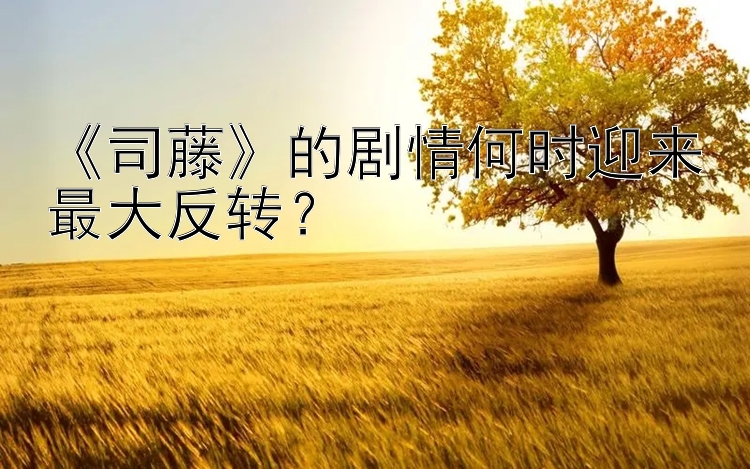 《司藤》的剧情何时迎来最大反转？