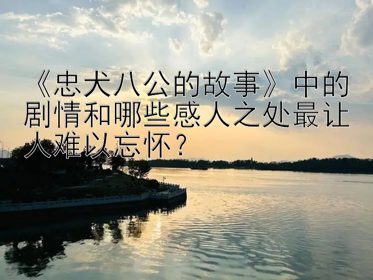 《忠犬八公的故事》中的剧情和哪些感人之处最让人难以忘怀？