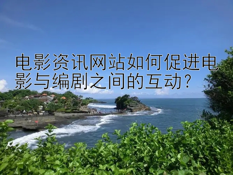 电影资讯网站如何促进电影与编剧之间的互动？